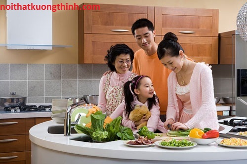 Đánh giá nhanh Bếp từ Canzy chất lượng